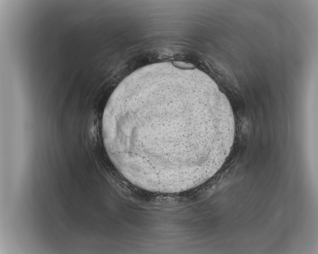 X0000110860914200907091337