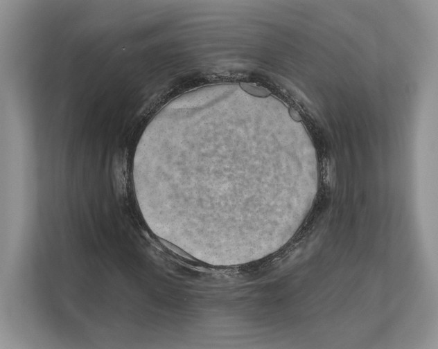 X0000110860915200907091337