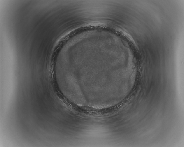 X0000110860920200907091337