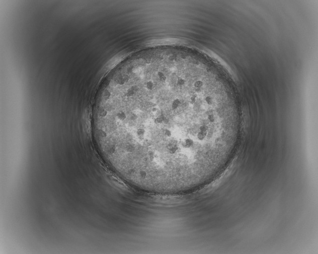 X0000110860921200907091337