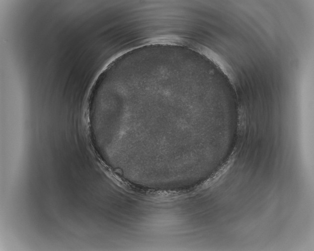 X0000110860923200907091337