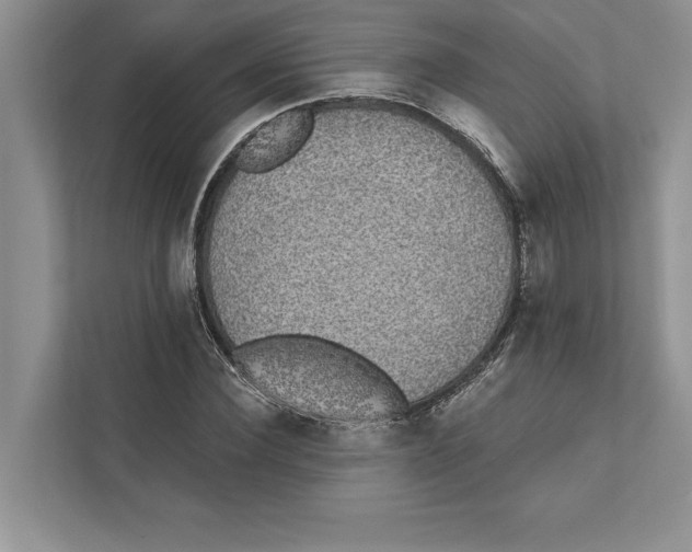 X0000110860924200907091337