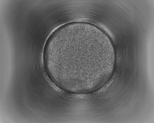 X0000110860932200907091337