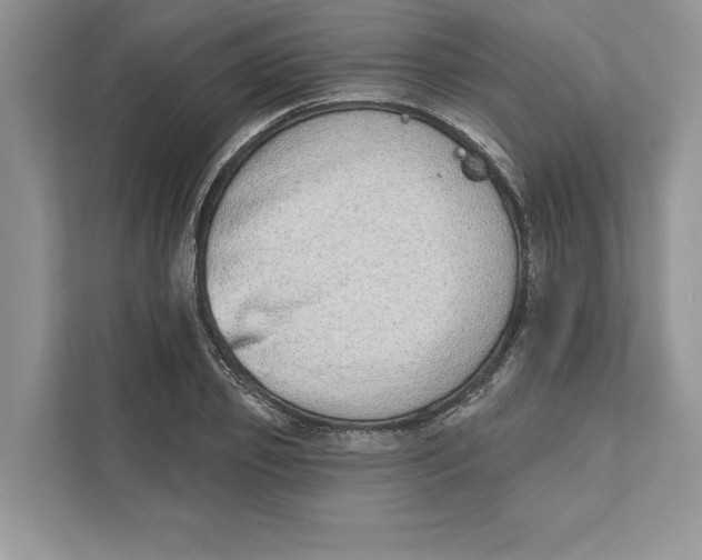 X0000110860933200907091337