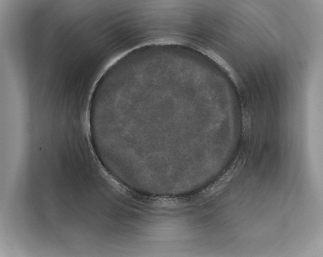 X0000110860935200907091337