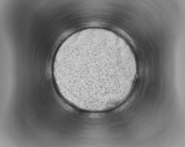 X0000110860938200907091337