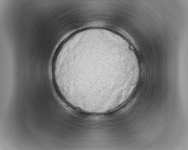 X0000110860939200907091337