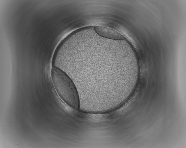 X0000110860940200907091337