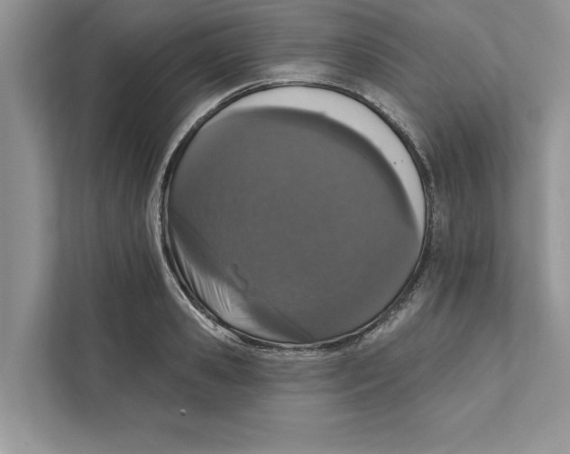 X0000110860941200907091337