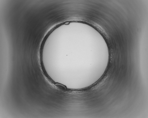 X0000110860942200907091337