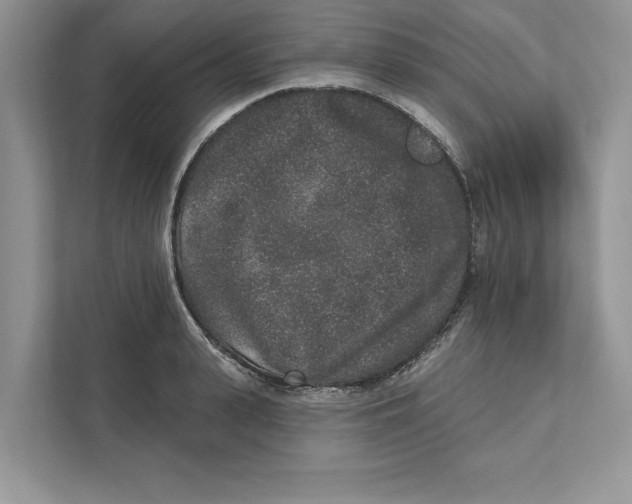 X0000110860943200907091337