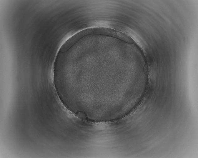 X0000110860944200907091337