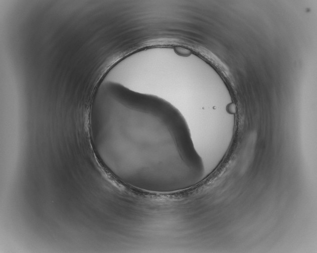 X0000110860945200907091337