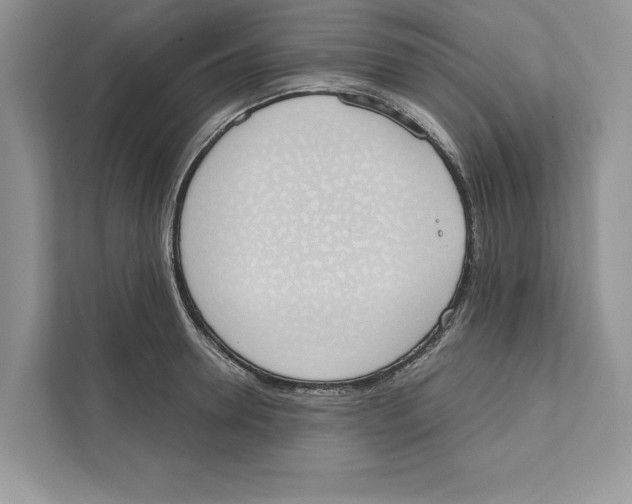 X0000110860946200907091337