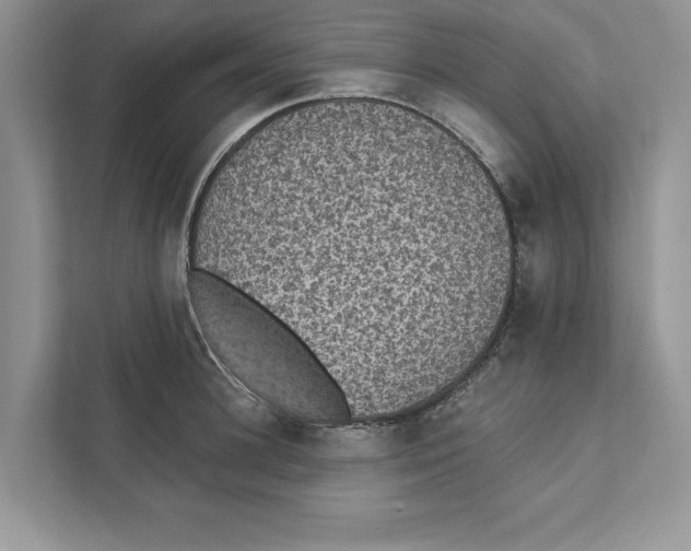 X0000110860948200907091337