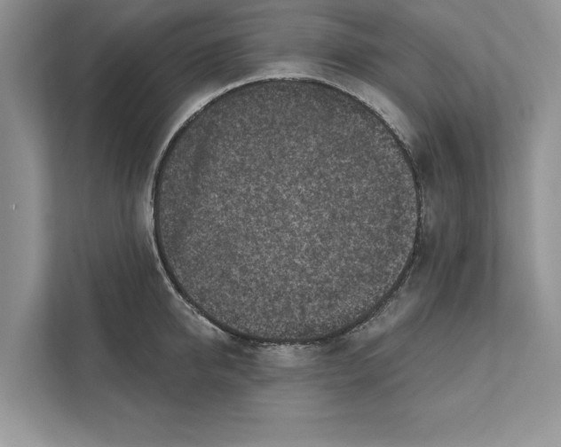 X0000110860950200907091337