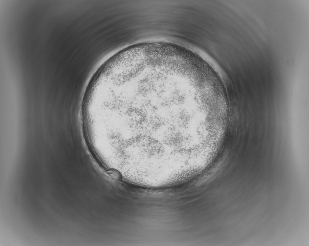 X0000110860951200907091337