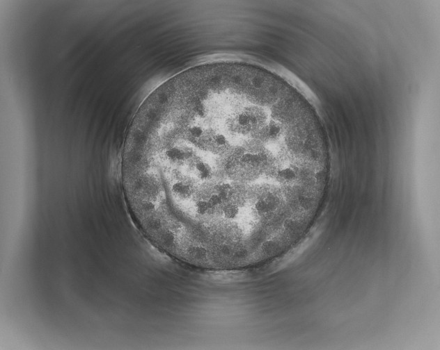 X0000110860953200907091338