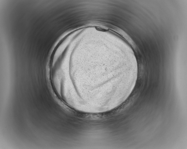 X0000110860955200907091338