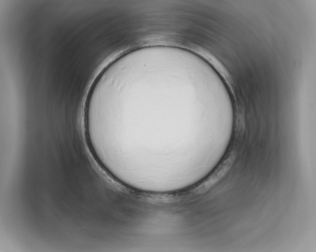 X0000110860957200907091338