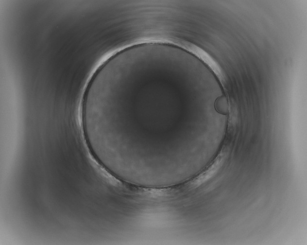 X0000110860958200907091338