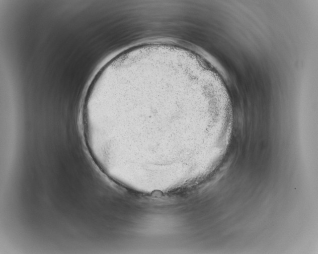 X0000110860959200907091338