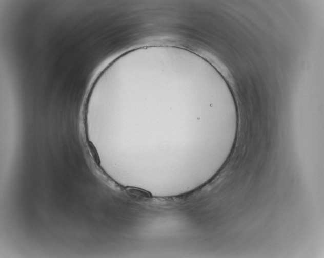 X0000110860960200907091338