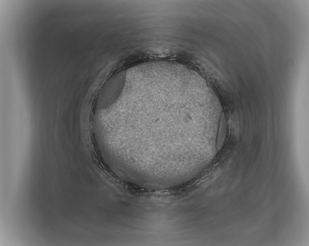 X0000110860961200907091337