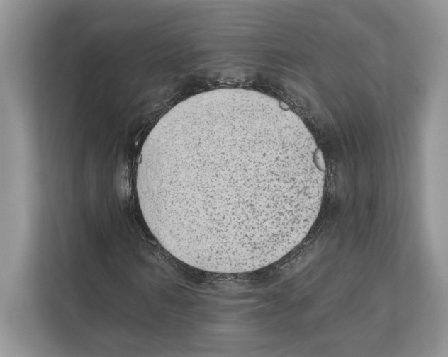 X0000110860962200907091337