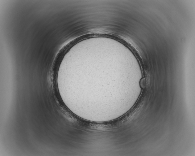 X0000110860971200907091337