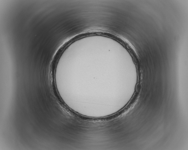 X0000110860973200907091337