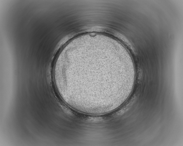 X0000110860978200907091337