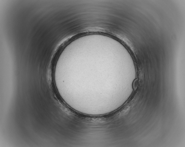 X0000110860979200907091337