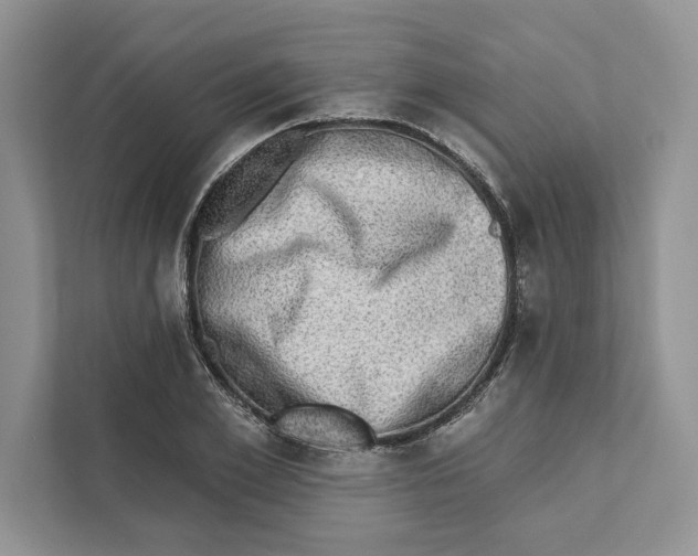 X0000110860981200907091337