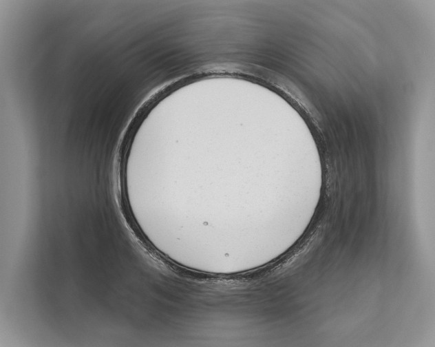 X0000110860984200907091337