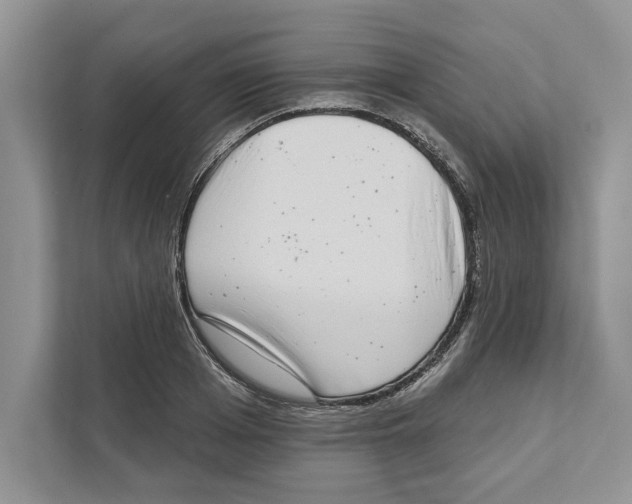 X0000110860985200907091337