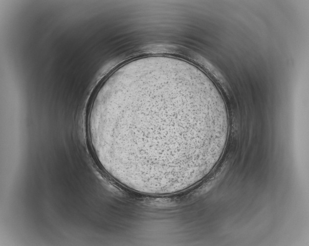 X0000110860986200907091337