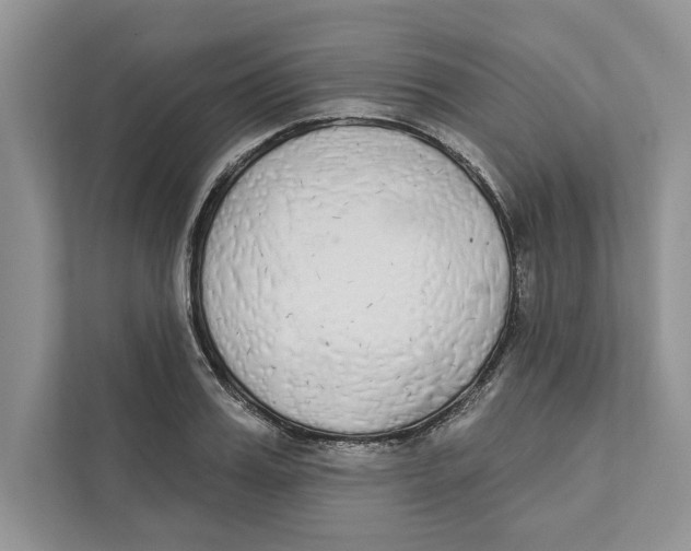 X0000110860987200907091337