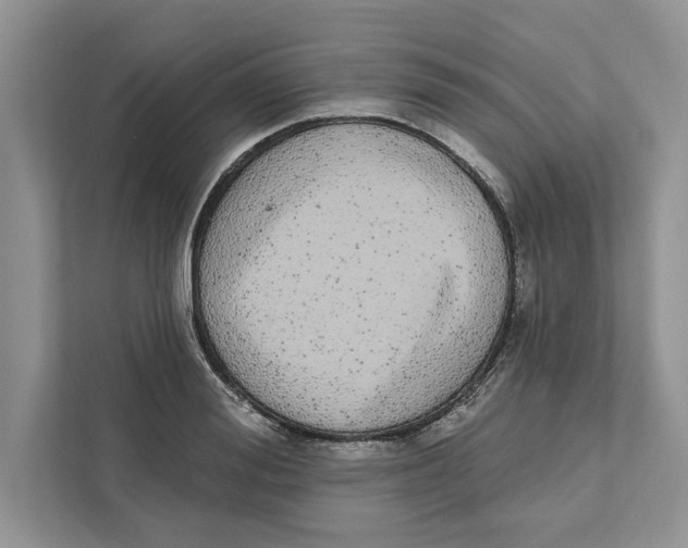 X0000110860988200907091337