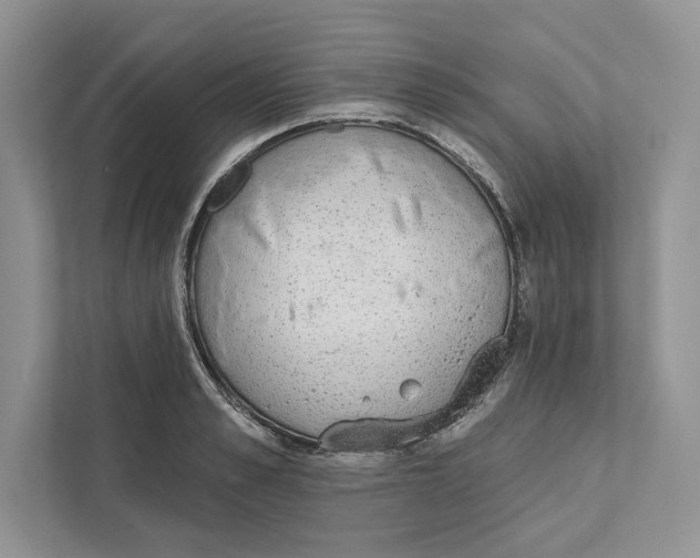 X0000110860989200907091337