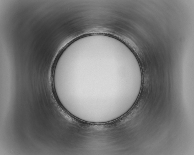 X0000110860990200907091337