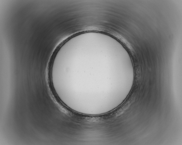 X0000110860991200907091337