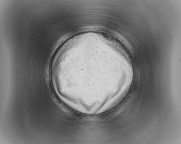 X0000110860994200907091337