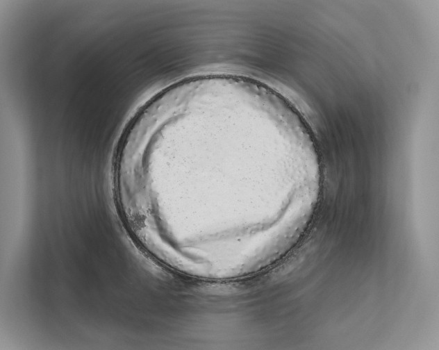 X0000110860998200907091336