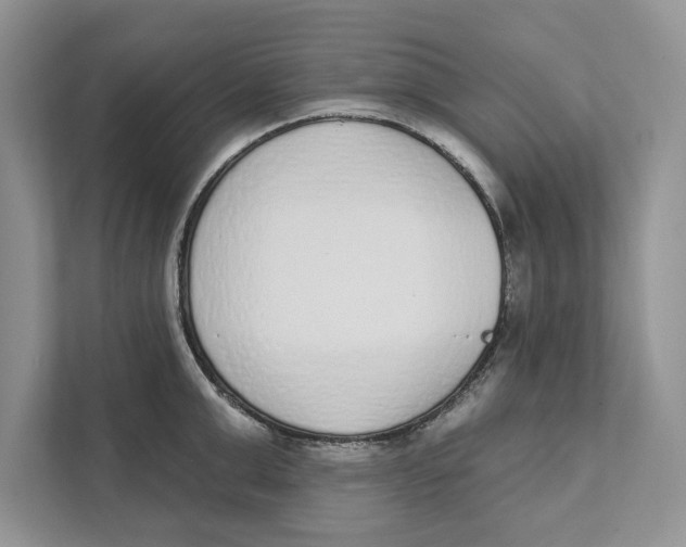 X0000110860999200907091336