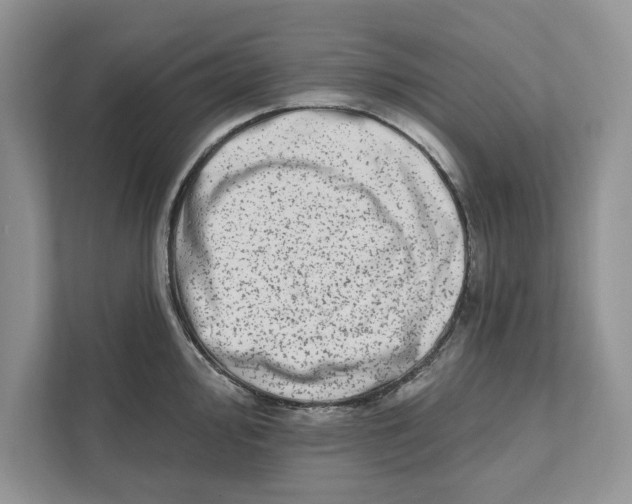 X0000110861000200907091336