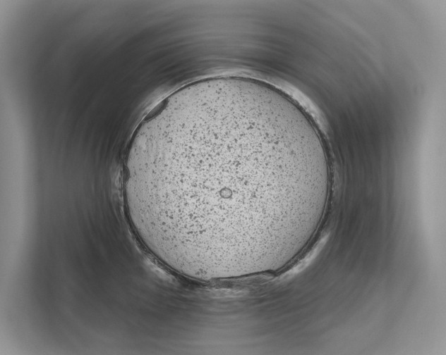 X0000110861001200907091336