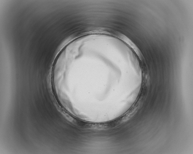 X0000110861002200907091336