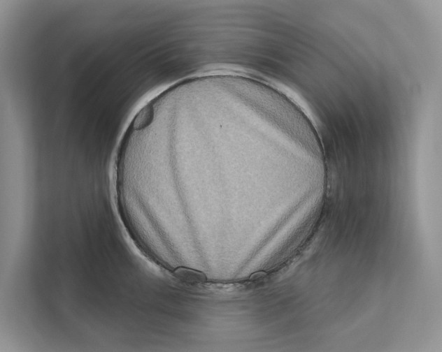 X0000110861003200907091336