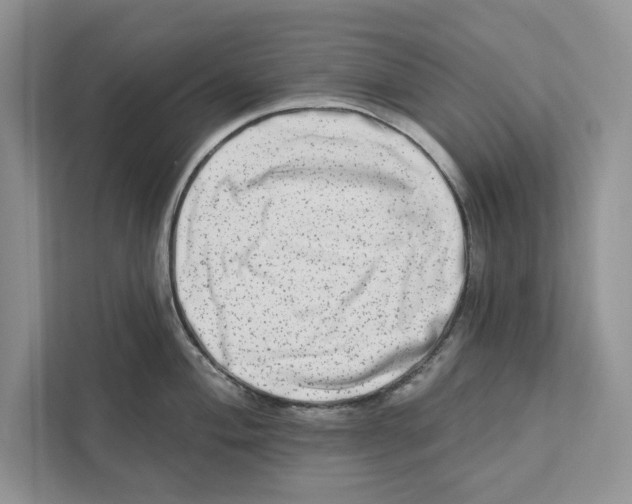 X0000110861004200907091336